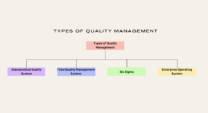 Types of Qms (Quality Management Systems) | 2024